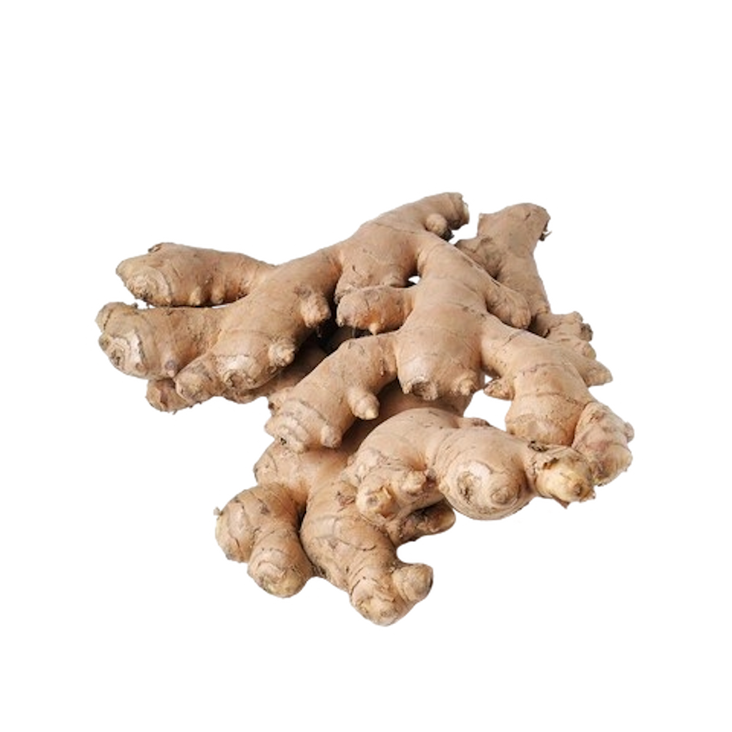 Ginger