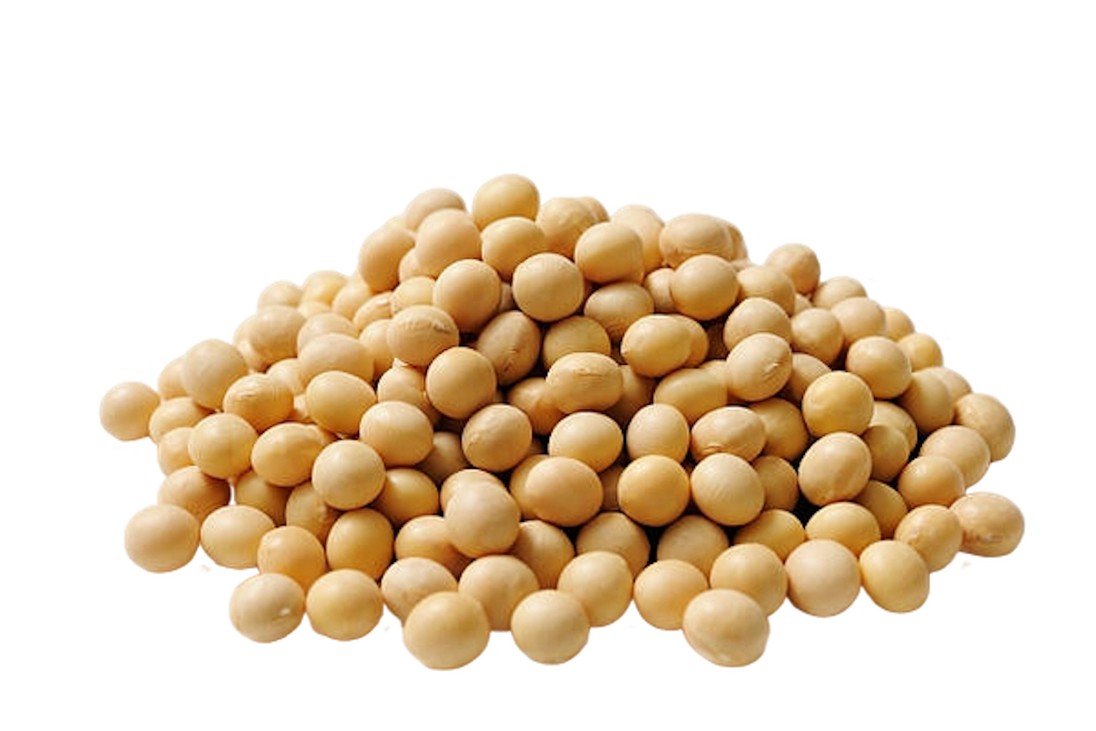 Soya Beans
